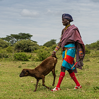 Kisima - Samburu moran with goat